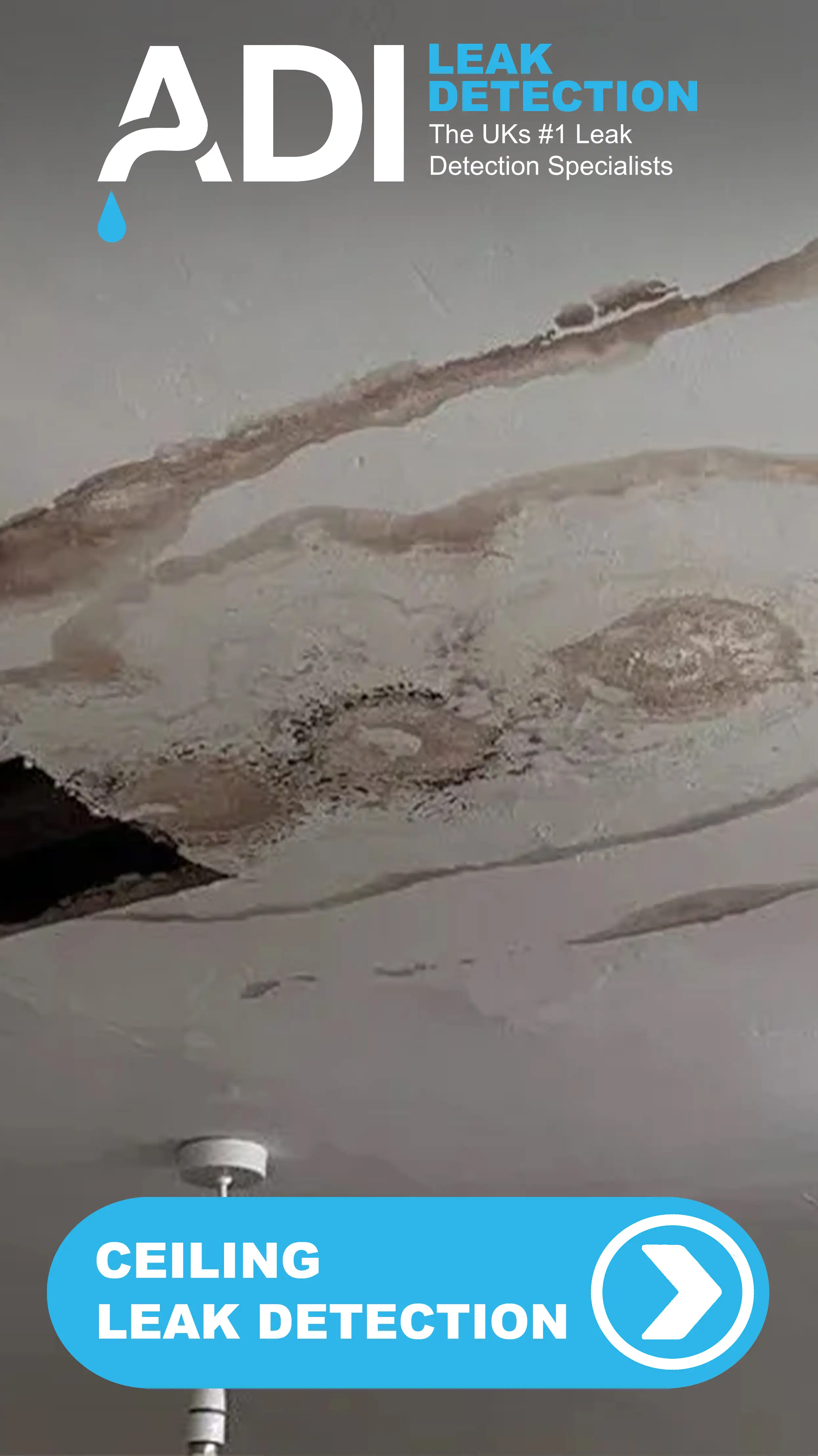 CEILING
